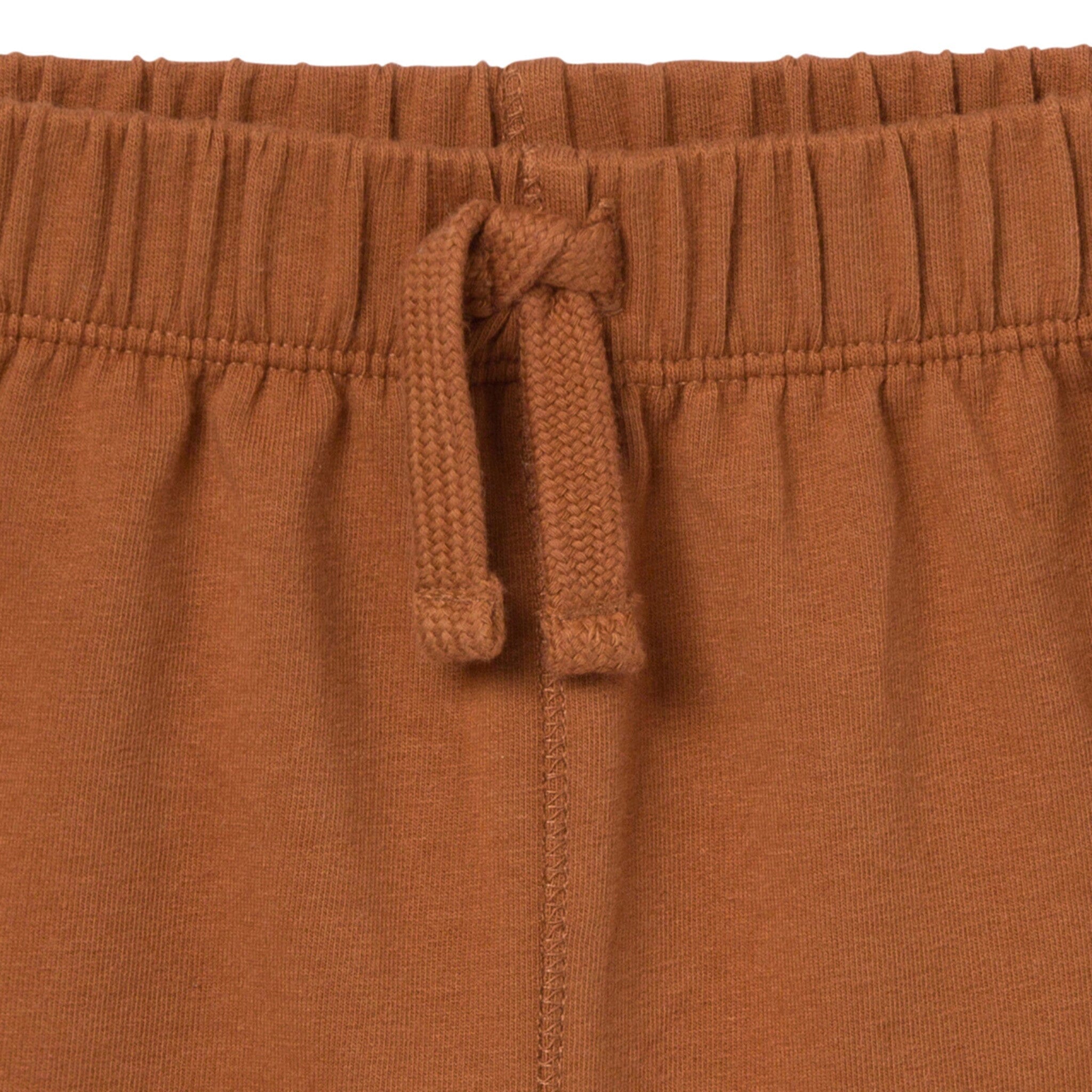 2-Piece Toddler Boys Medium Brown Henley Shirt and Shorts Set - Image 9