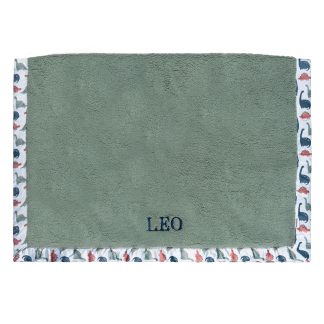 Embroidered Dino Time Plush Blanket