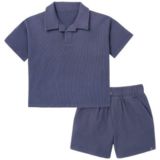 2-Piece Boys Odyssey Gray Johnny Collar Shirt and Shorts Set